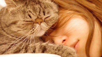 دختر-گربه-حیوان-حیوانات-خواب-خوابیدن